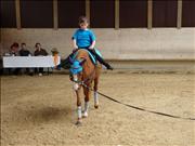 voltitag 2009 _CD2 089